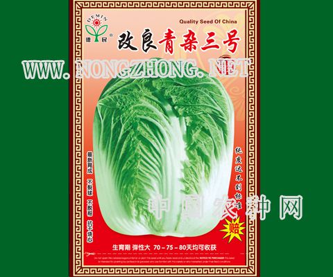 改良青杂三号